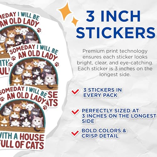 (3 Pack) Old Lady Cats Decals - Cat Lover - Funny Laptop Decal - 3 Inches On Longest Side - Easy Peel & Apply - Made in USA - 3MCS0946