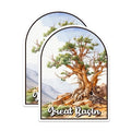 (2 Pack) Great Basin National Park Bumper Magnet - US National Park - Choose from 63 Parks - 5" On Longest Side - Decal for Car Bumper, Laptop, Water Bottle, Wall, and Window - MAG1519