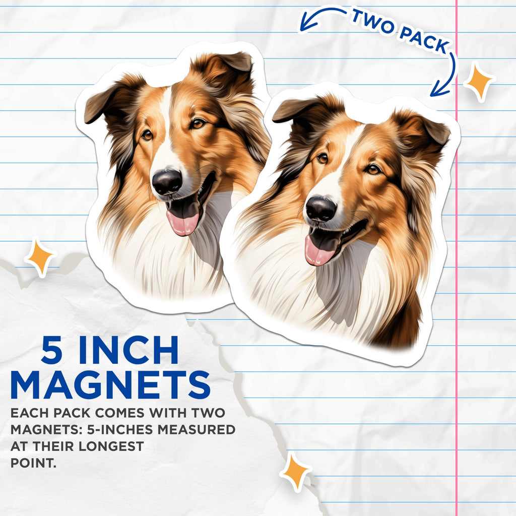 (2 Pack) Rough Collie Magnets - Shetland Sheepdog Art - Dog Lover Kitchen Decor - 5 Inches On Longest Side - Thick Durable Magnet - Made in USA - MAG25021