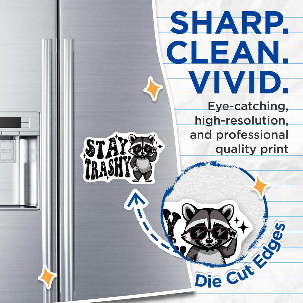 (2 Pack) Stay Trashy Magnets - Funny Racoon Magnets - Cute Animal Magnets for Home or Office - 5" On Longest Side - for Cars, Refrigerators, Toolboxes, Lockers - Made in USA MAG3568