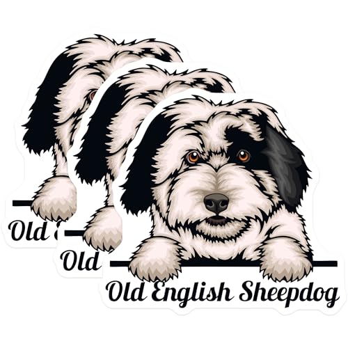 (3 Pack) Old English Sheepdog Decals - Dog Breed Stickers - Laptop Decal - 3 Inches On Longest Side - Easy Peel & Apply - Made in USA - 3MCS3000