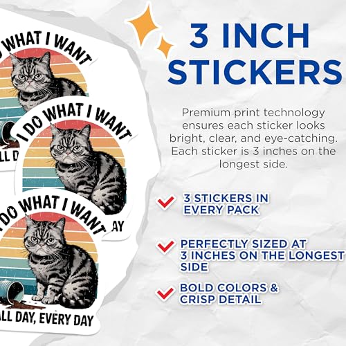 (3 Pack) Grumpy Cat Decals - Funny Cat Saying - Sarcastic Kitty Laptop Decals - 3 Inches On Longest Side - Easy Peel & Apply - Made in USA - 3MCS1108