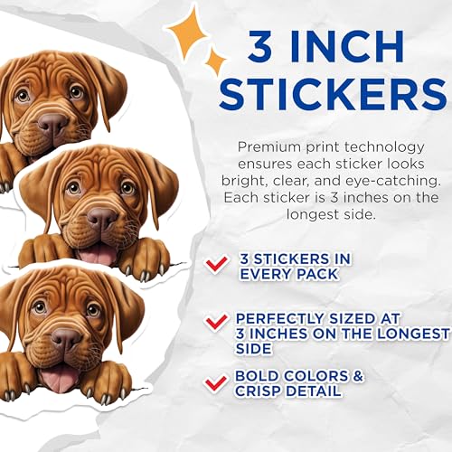 (3 Pack) Dogue de Bordeaux Decals - French Mastiff Stickers - Puppy Dog Lover Present - 3 Inches On Longest Side - Easy Peel & Apply - Made in USA - 3MCS8733