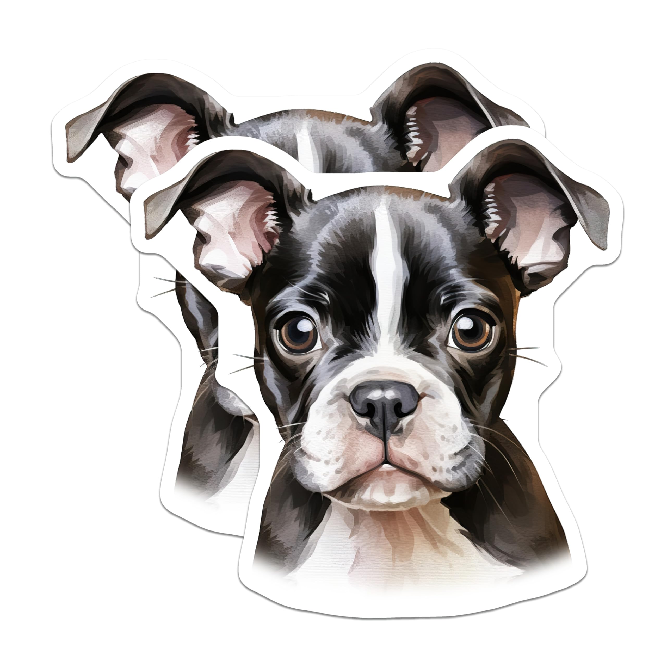 (2 Pack) Cute Boston Terrier Puppy Magnets - Dog Lover Fridge Decor - Pet Parent Animal Art Gift Set for Home - 5 Inches On Longest Side - Thick Durable Magnet - Made in USA - MAG25018