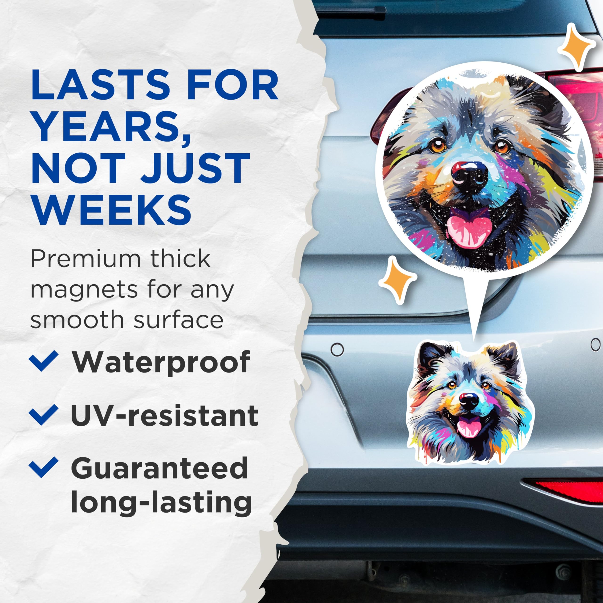 (2 Pack) Keeshond Dog Breed Magnets - 5 Inches On Longest Side - Choose from Over 100 Dog Breeds - for Cars, Refrigerators, Toolboxes - Made in USA - MAG1889
