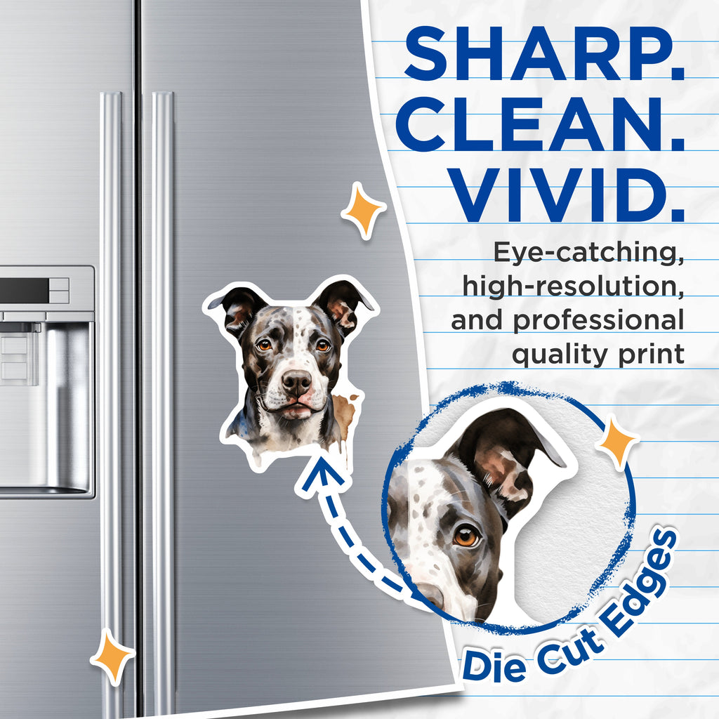 (2 Pack) Pitbull Dog Magnets - Watercolor Pet Portrait - Bully Breed Love - Dog Mom Dad Fridge Locker Art - 5 Inches On Longest Side - Thick Durable Magnet - Made in USA - MAG38474