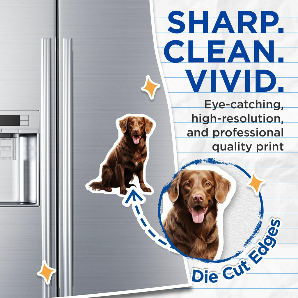 (2 Pack) Chocolate Retriever Magnets - Dog Lover Decor - Pet Parent Accessory - 5 Inches On Longest Side - Thick Durable Magnet - Made in USA - MAG29180