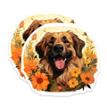 (2 Pack) Happy Dog Floral Magnets - Dog Lover Kitchen Decor - Cheerful Pet Owner Display - 5 Inches On Longest Side - Thick Durable Magnet - Made in USA - MAG29782