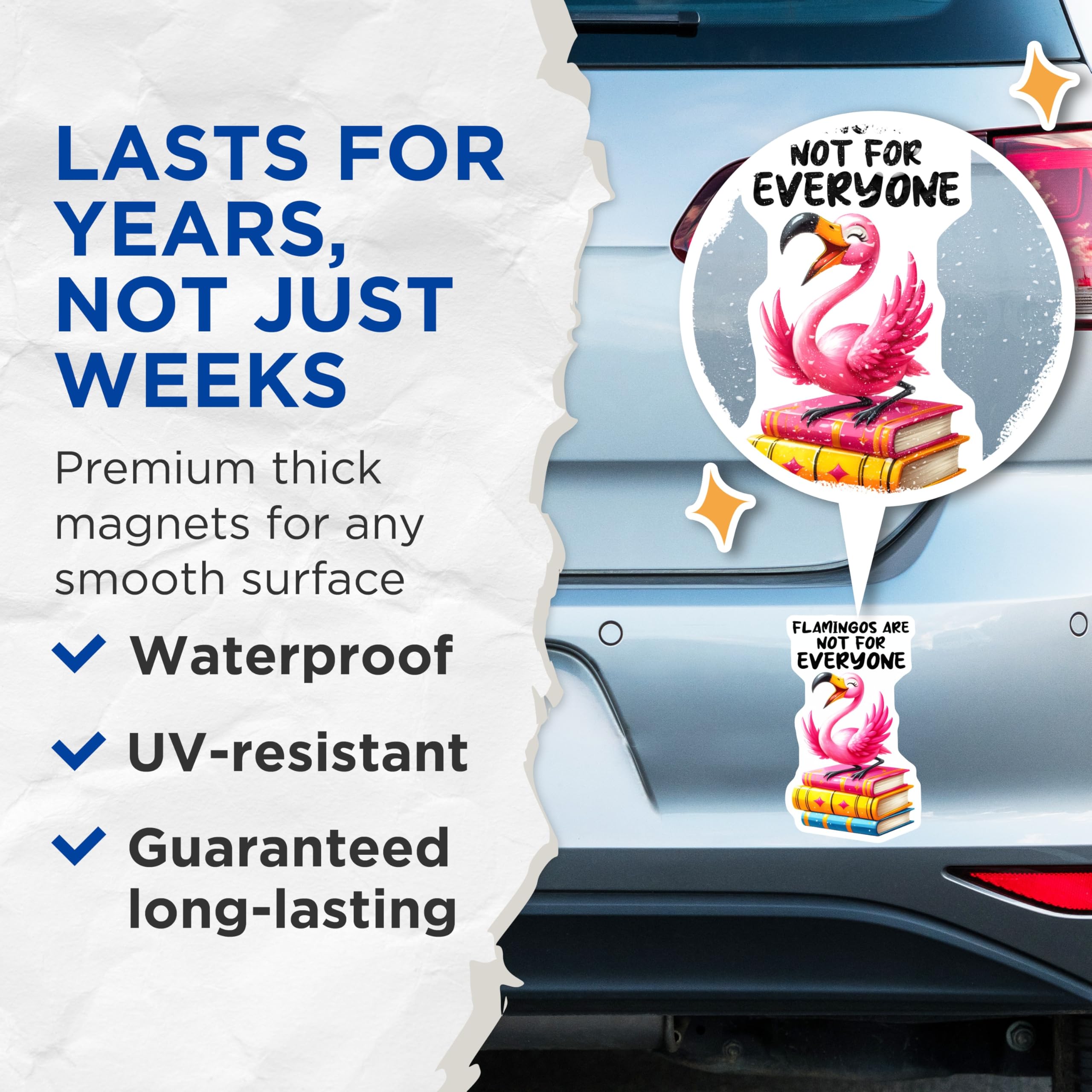 (2 Pack) Flamingo Magnets - Funny Quote Magnets - Flamingo On Books Magnet - 5" On Longest Side - Premium Magnet - for Cars, Refrigerators, Toolboxes, Lockers - Made in USA - MAG16791