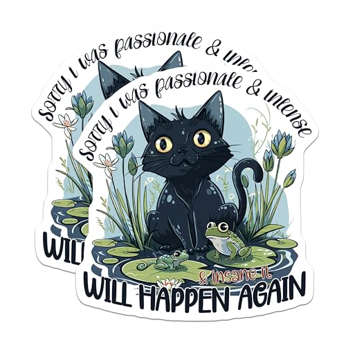 (2 Pack) Funny Black Cat Stickers - Quirky Cat Quotes Stickers - Cute Frog and Cat Stickers for Water Bottles - 5" On Longest Side - Sticks to Smooth Flat Surfaces - Made in USA - BMCS4353