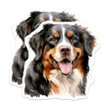 (2 Pack) Bernese Mountain Dog Magnets - Watercolor Dog Art - Happy Bernese Home Decor - Pet Lover Fridge Display - 5 Inches On Longest Side - Thick Durable Magnet - Made in USA - MAG26865