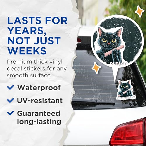 (2 Pack) Witch Please Stickers - Black Cat Stickers - Funny Cat Stickers - Halloween Stickers - 5" On Longest Side - Sticks to Any Smooth Flat Surface - Made in USA - BMCS3322