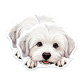 (2 Pack) Cute Puppy Dog Stickers - Adorable Pet Stickers - Animal Lover Stickers - 5" On Longest Side - Sticks to Smooth Flat Surfaces - Made in USA - BMCS9943