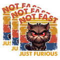 (3 Pack) Grumpy Cat Decals - Not Fast Just Furious - Laptop Decals - 3 Inches On Longest Side - Easy Peel & Apply - Made in USA - 3MCS6106