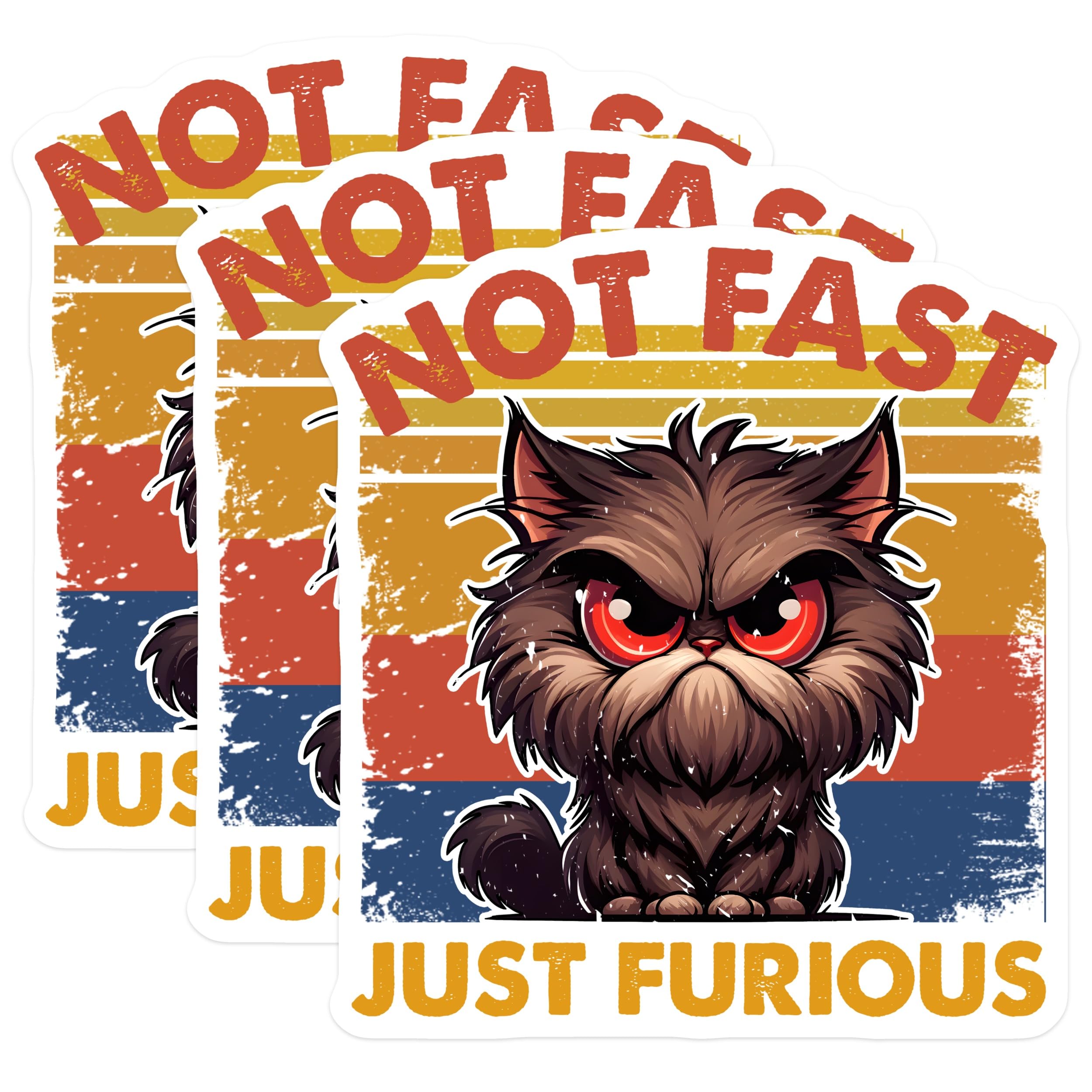 (3 Pack) Grumpy Cat Decals - Not Fast Just Furious - Laptop Decals - 3 Inches On Longest Side - Easy Peel & Apply - Made in USA - 3MCS6106