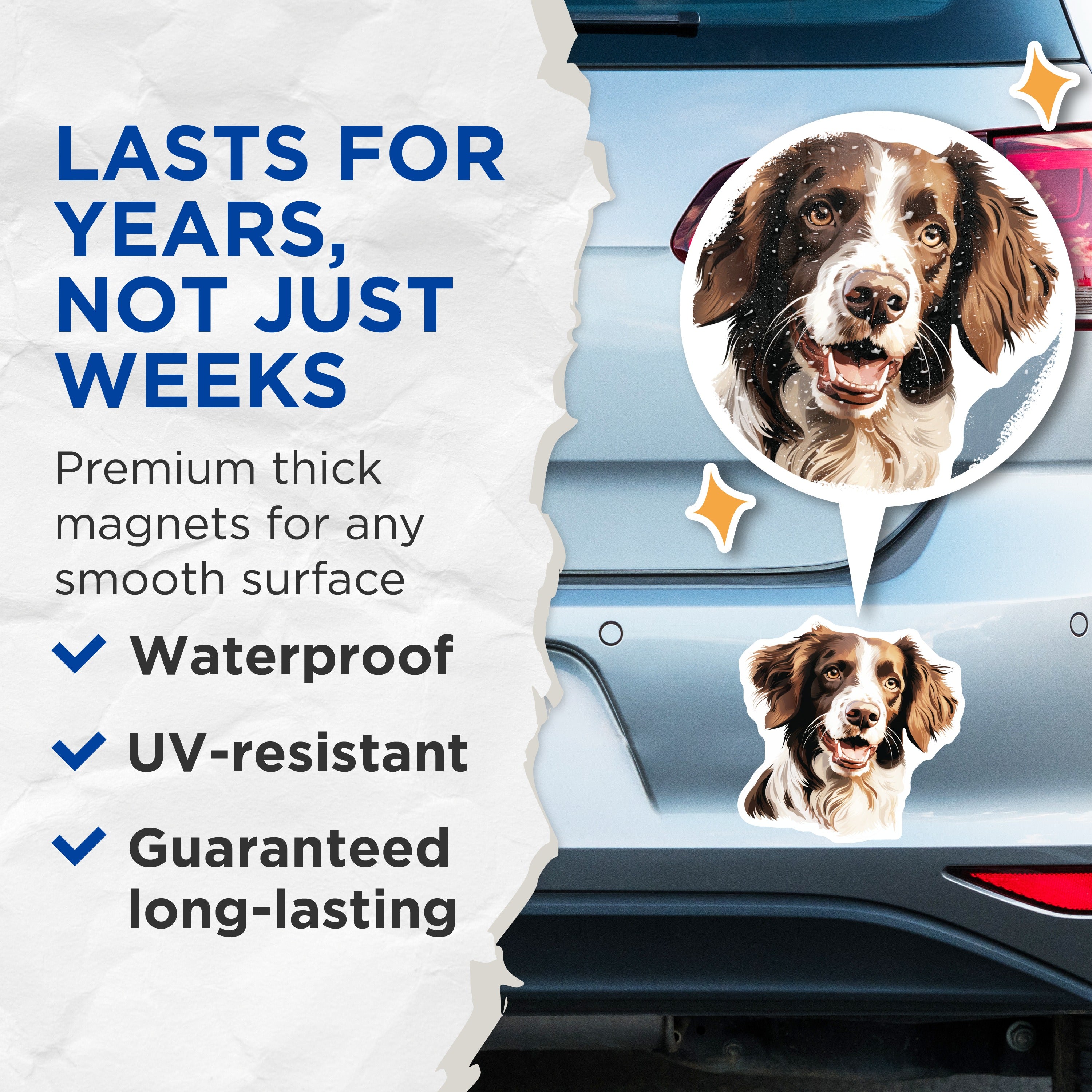 (2 Pack) Springer Spaniel Dog Magnets - Smiling Dog Head Art - Pet Owner Fridge Decor - Animal Lover Accessory - 5 Inches On Longest Side - Thick Durable Magnet - Made in USA - MAG37493