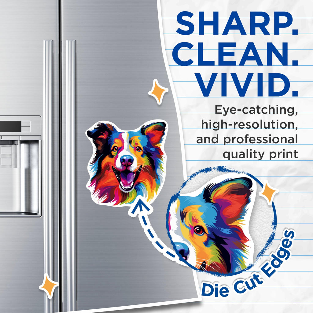 (2 Pack) Shetland Sheepdog Dog Breed Magnets - 5 Inches On Longest Side - Choose from Over 100 Dog Breeds - for Cars, Refrigerators, Toolboxes - Made in USA - MAG1947