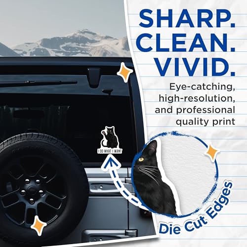 (2 Pack) Cat Attitude Stickers - I Do What I Want - 5" On Longest Side - Sticks to Smooth Flat Surfaces - Made in USA - BMCS8892 - BMCS8892