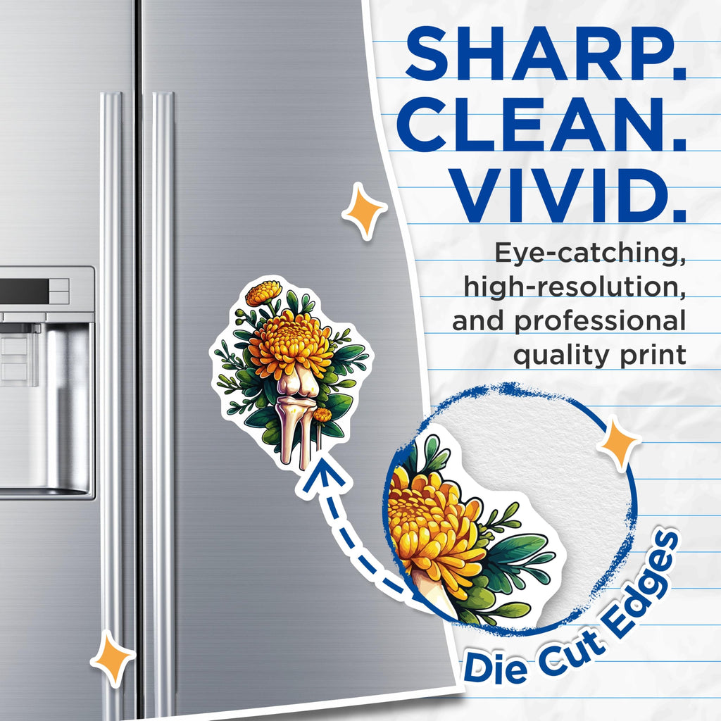 (2 Pack) Anatomical Floral Magnets - Chrysanthemum Bones Art - Unique Skeletal Decor - 5 Inches On Longest Side - Thick Durable Magnet - Made in USA - MAG19599