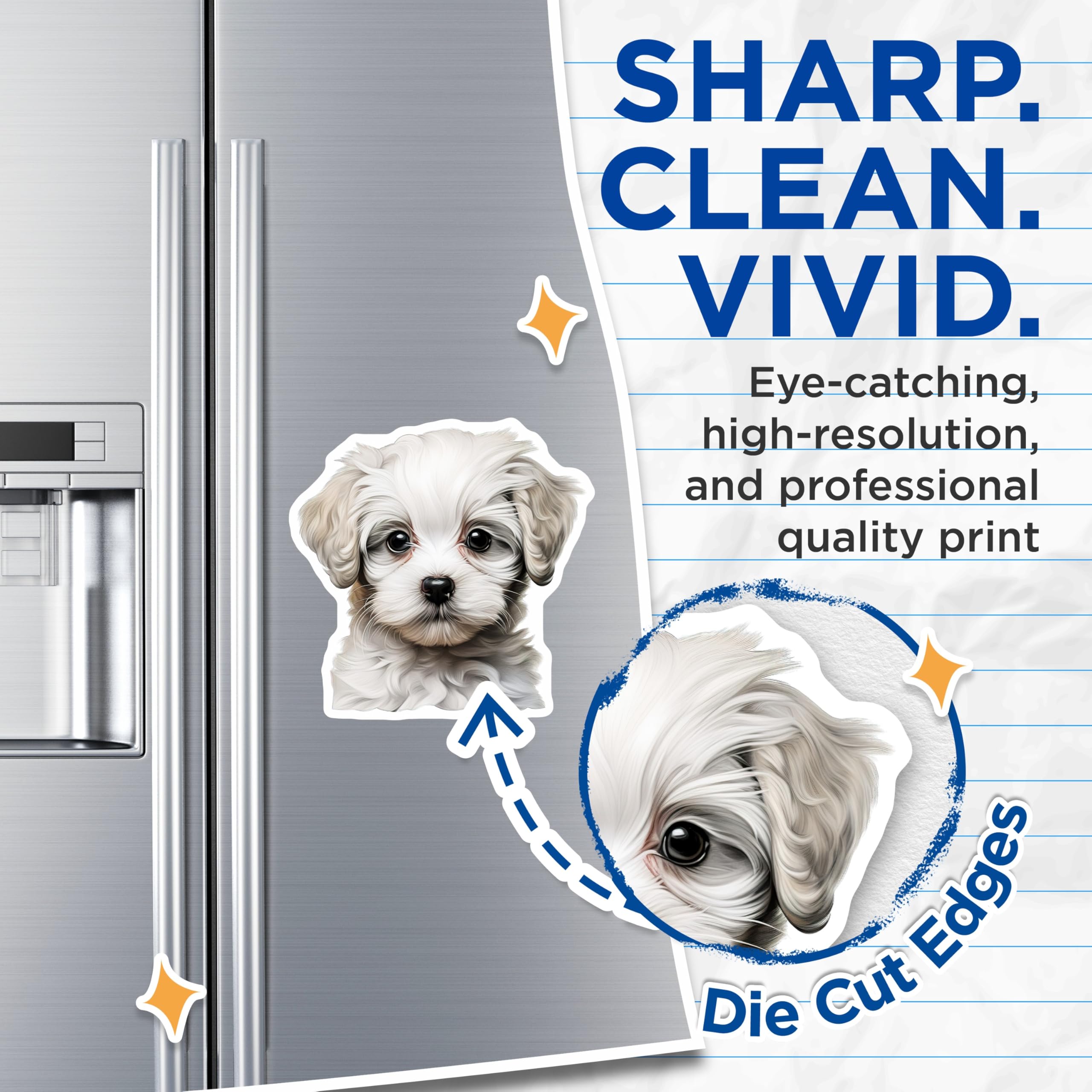 (2 Pack) Cute Puppy Magnets - White Fluffy Dog Lover - Pet Parent Refrigerator Locker Decor - 5 Inches On Longest Side - Thick Durable Magnet - Made in USA - MAG27310