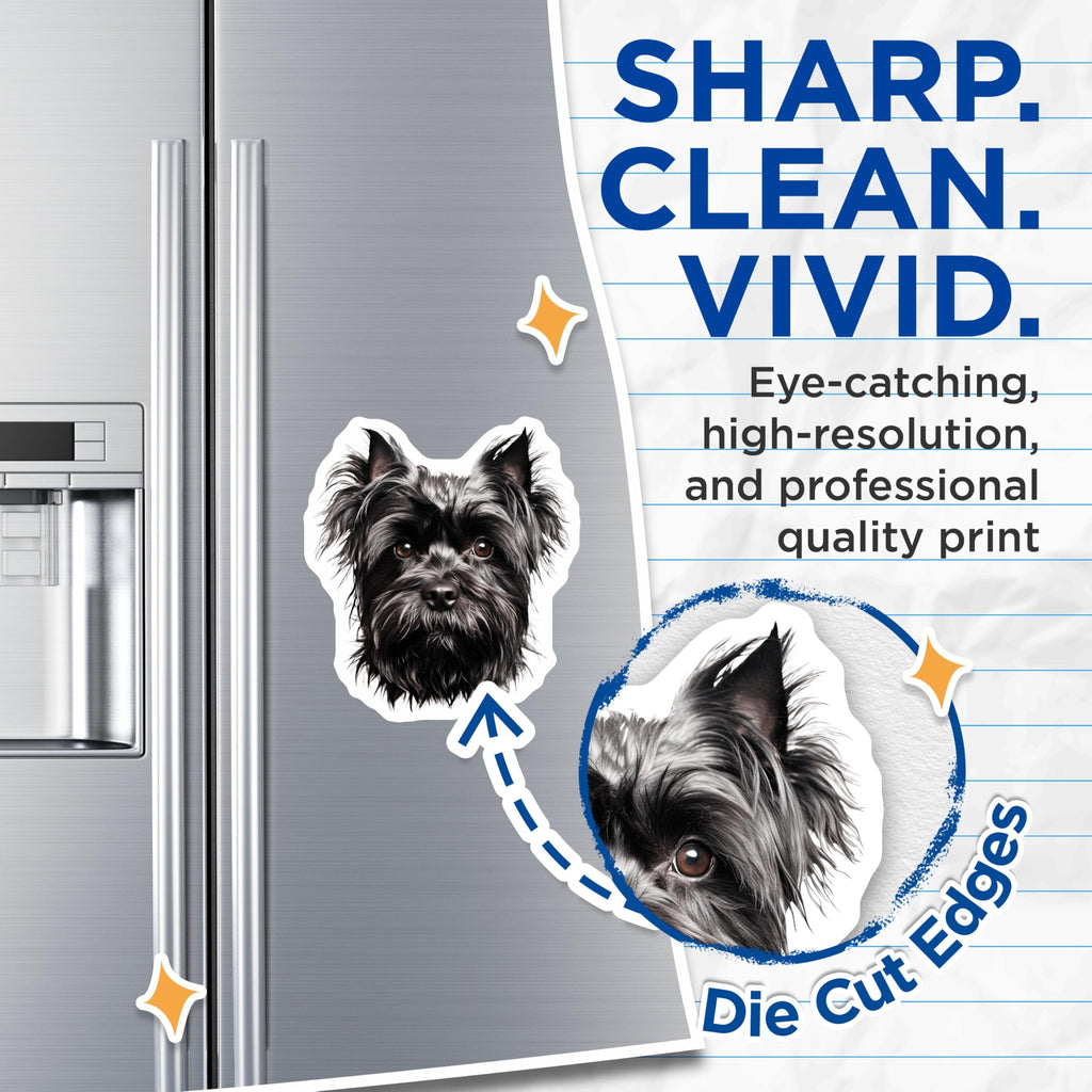 (2 Pack) Black Shaggy Terrier Dog Magnets - Pet Lover Fridge Decor - Cairn Yorkie Schnauzer Style Animal Artwork - 5 Inches On Longest Side - Thick Durable Magnet - Made in USA - MAG25617