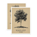 (2 Pack) Quaking Aspen Magnets - Utah State Tree Souvenir - Botanical Art Decoration - 5" On Longest Side - Premium Magnet - for Cars, Refrigerators, Toolboxes, Lockers - Made in USA - MAG17862