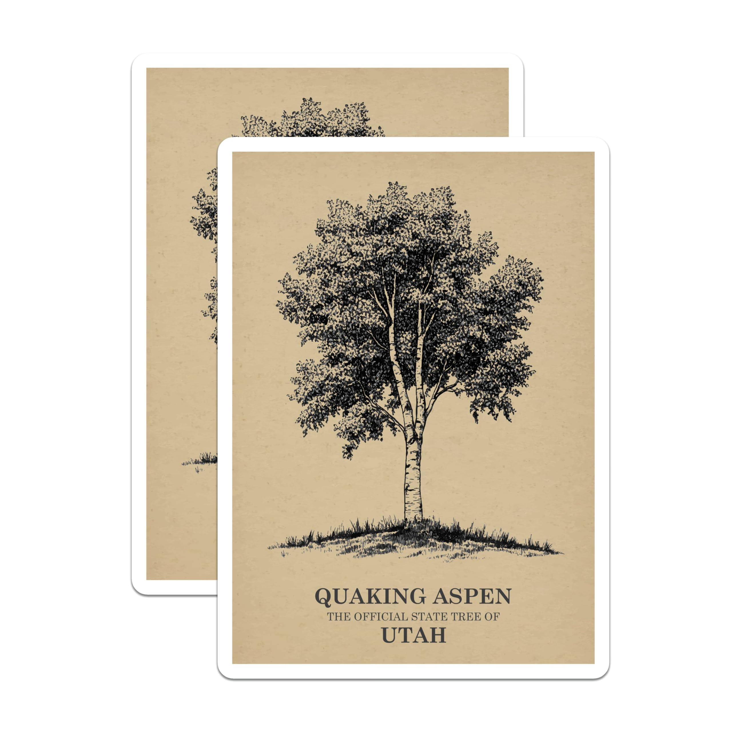 (2 Pack) Quaking Aspen Magnets - Utah State Tree Souvenir - Botanical Art Decoration - 5" On Longest Side - Premium Magnet - for Cars, Refrigerators, Toolboxes, Lockers - Made in USA - MAG17862