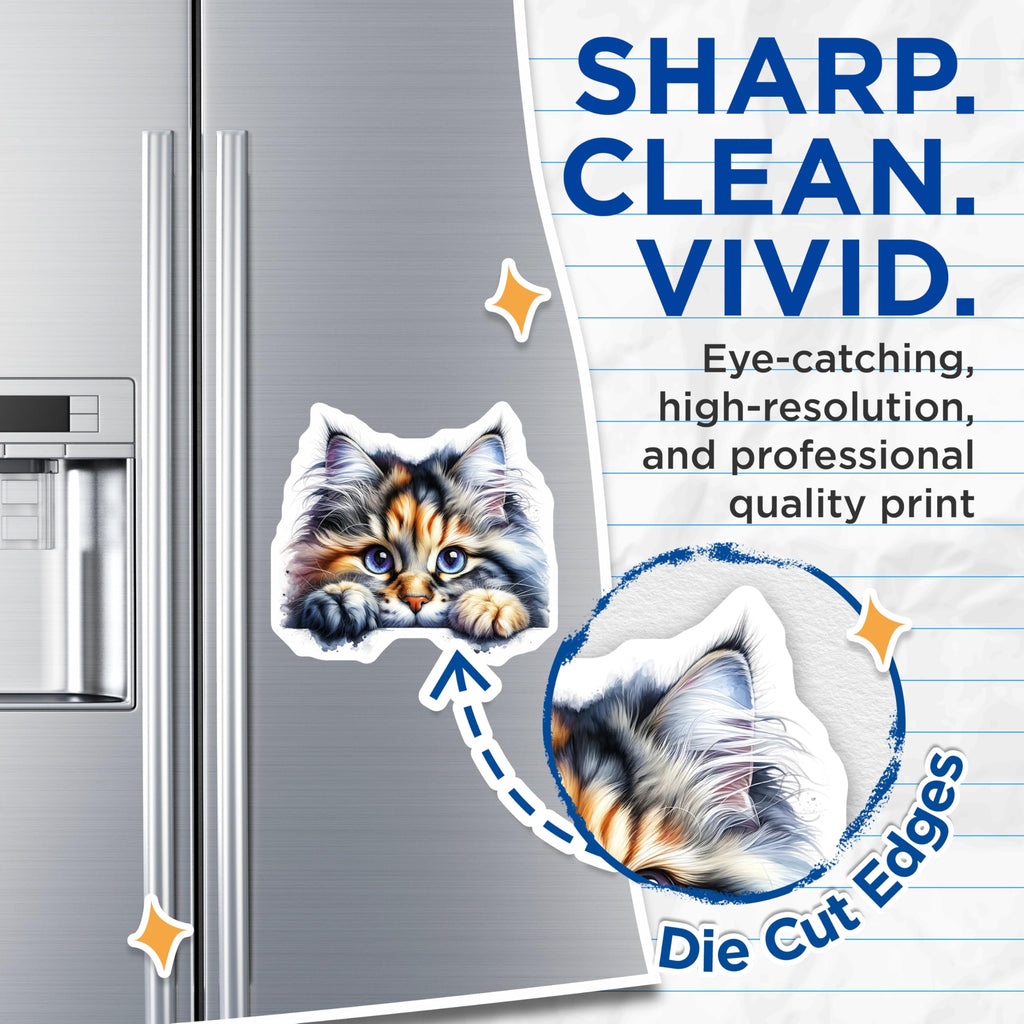 (2 Pack) Cute Calico Cat Magnets - Kitten Decor - Feline Refrigerator Decoration - 5" On Longest Side - Premium Magnet - for Cars, Refrigerators, Toolboxes, Lockers - Made in USA - MAG16076