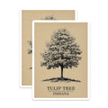 (2 Pack) Tulip Tree Magnets - Indiana State Tree Decor - Botanical Magnets - 5" On Longest Side - Premium Magnet - for Cars, Refrigerators, Toolboxes, Lockers - Made in USA - MAG18237