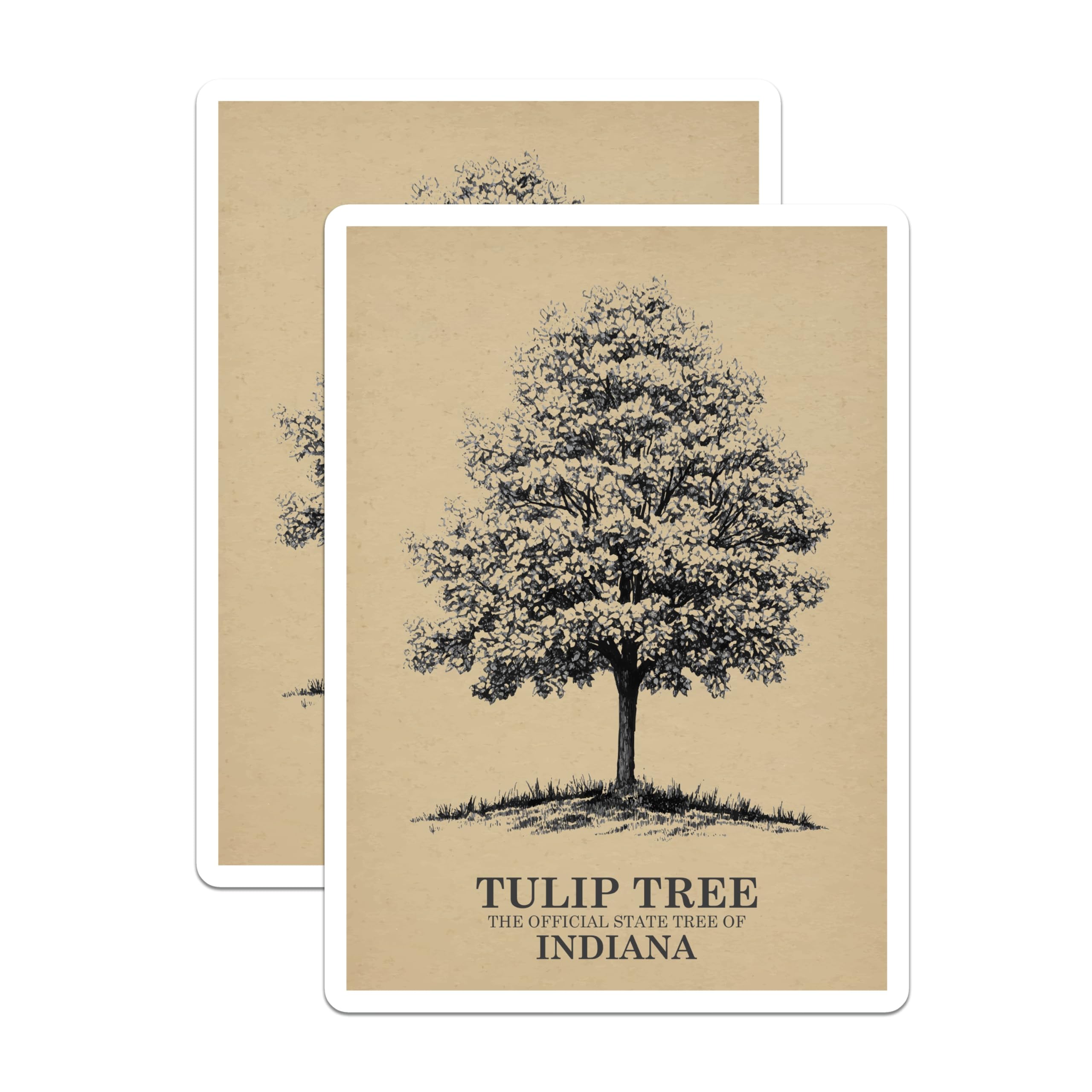 (2 Pack) Tulip Tree Magnets - Indiana State Tree Decor - Botanical Magnets - 5" On Longest Side - Premium Magnet - for Cars, Refrigerators, Toolboxes, Lockers - Made in USA - MAG18237