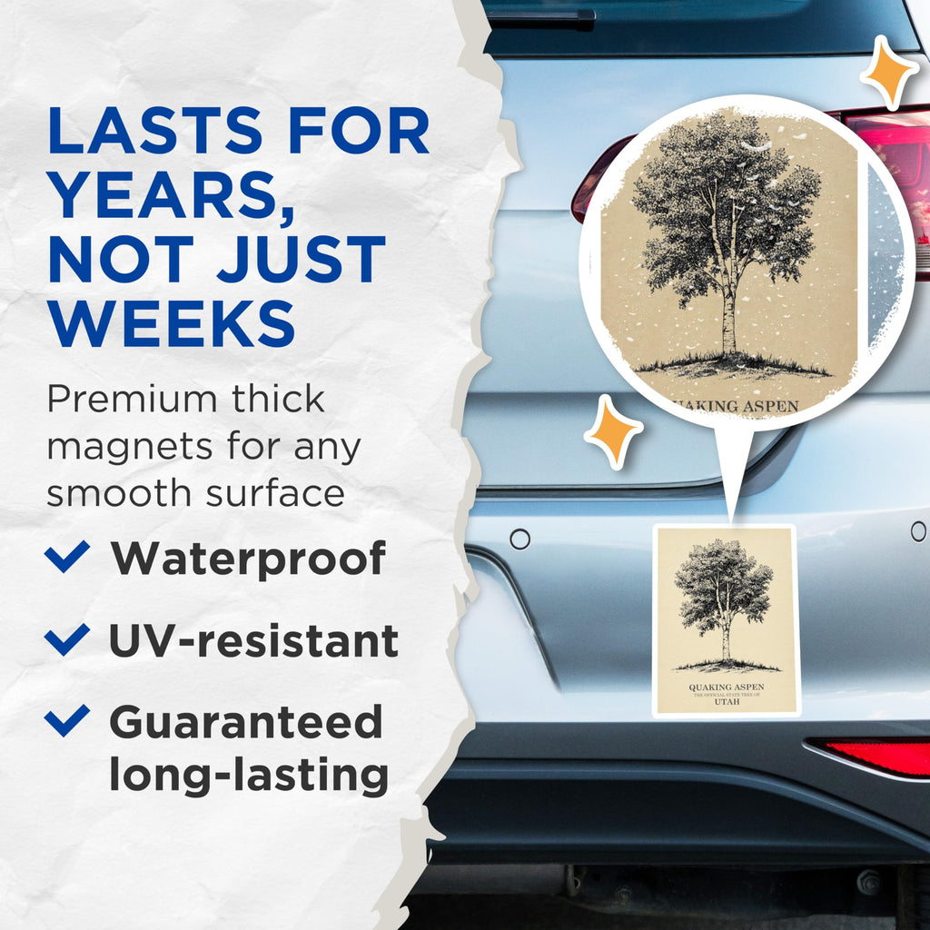 (2 Pack) Quaking Aspen Magnets - Utah State Tree Souvenir - Botanical Art Decoration - 5" On Longest Side - Premium Magnet - for Cars, Refrigerators, Toolboxes, Lockers - Made in USA - MAG17862