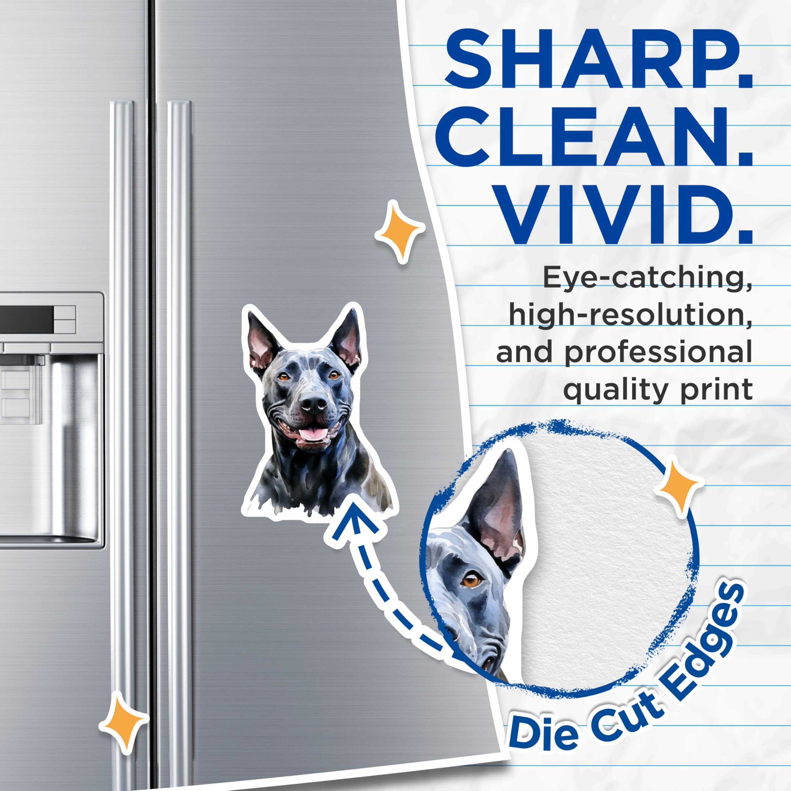 (2 Pack) Thai Ridgeback Dog Magnets - Watercolor Pet Art - Animal Lover Decor - 5 Inches On Longest Side - Thick Durable Magnet - Made in USA - MAG24336