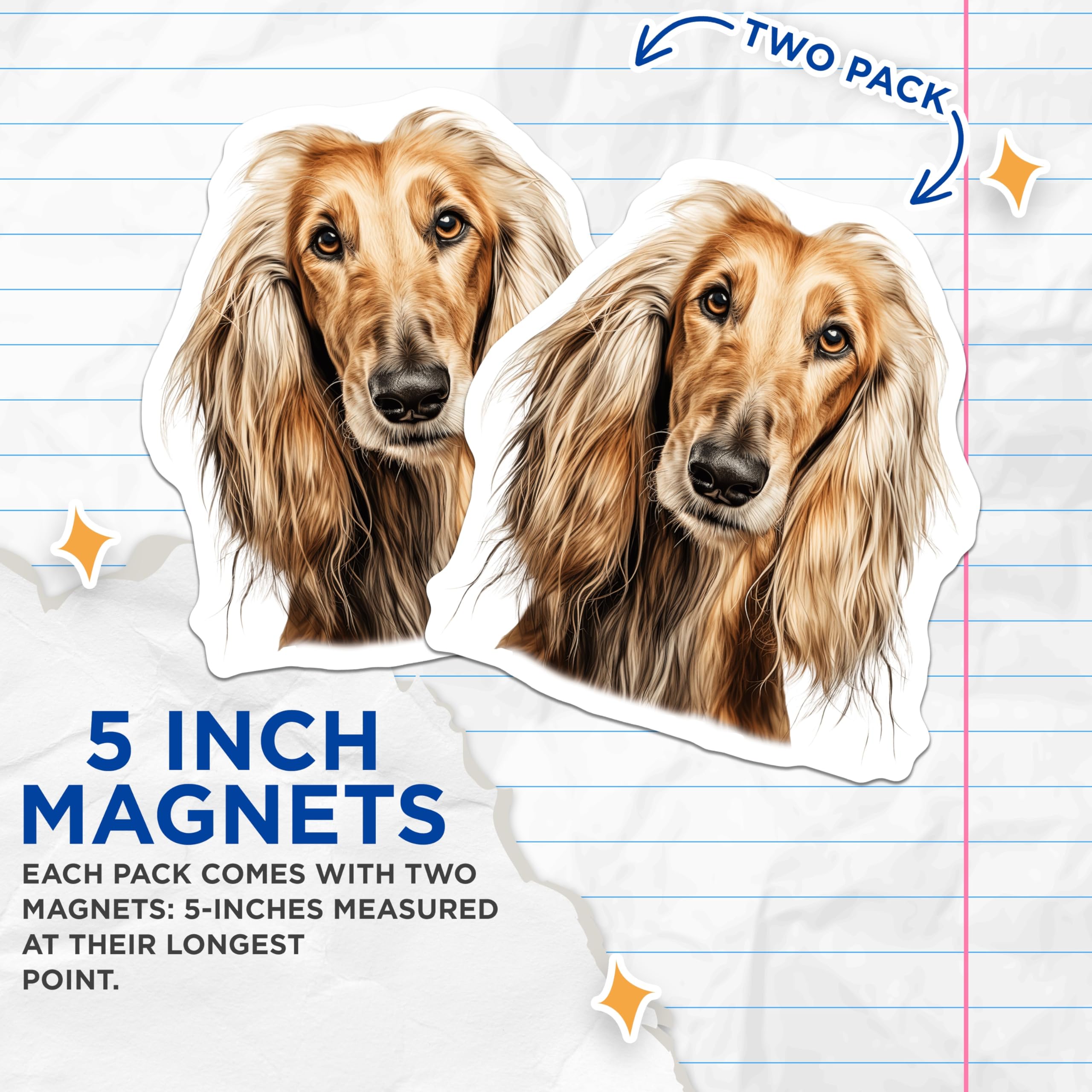 (2 Pack) Afghan Hound Dog Magnets - Elegant Pet Lover - Animal Portrait Decor - 5 Inches On Longest Side - Thick Durable Magnet - Made in USA - MAG25256