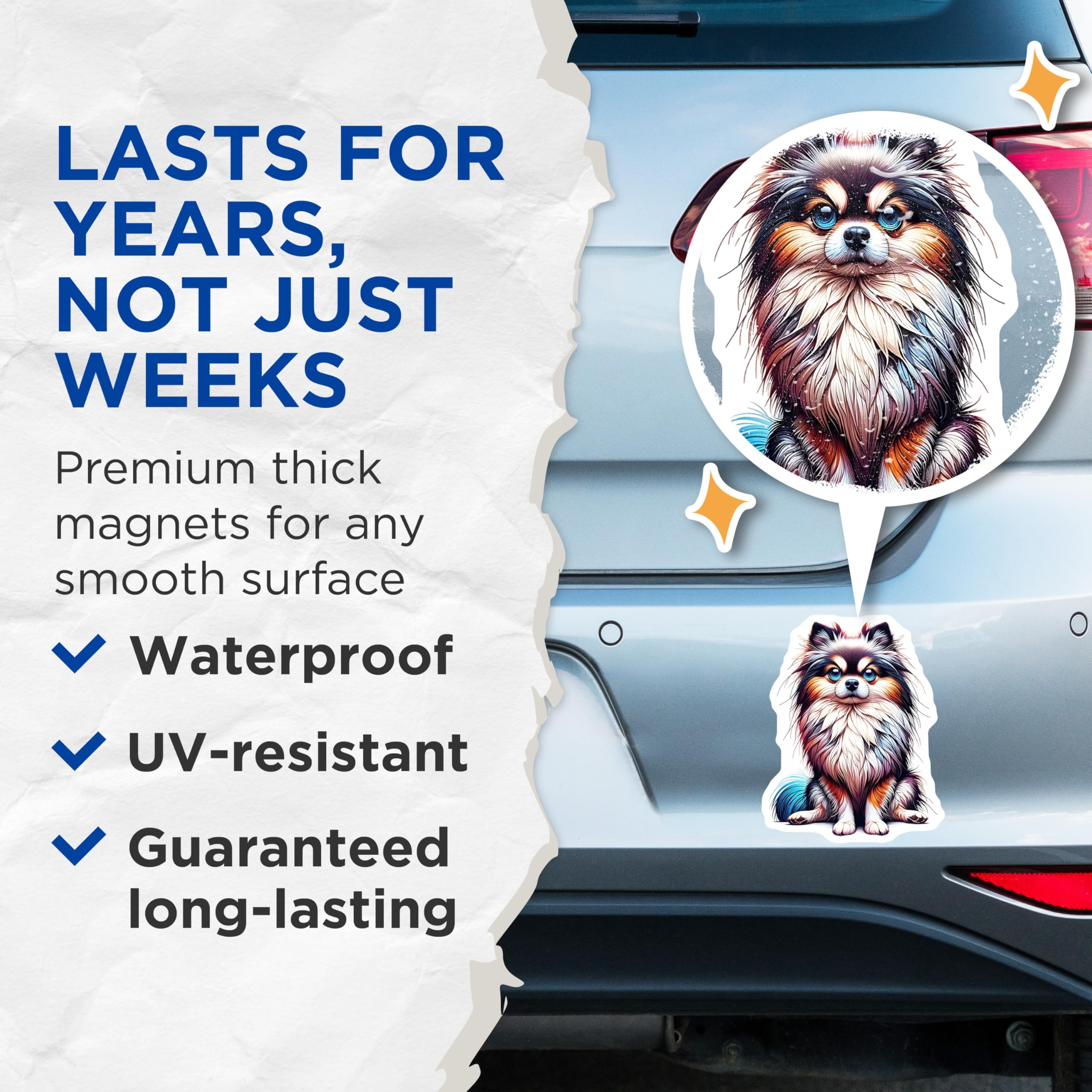 (2 Pack) Pomeranian Dog Magnets - Cute Puppy Art - Fridge Locker Decorations - 5" On Longest Side - Premium Magnet - for Cars, Refrigerators, Toolboxes, Lockers - Made in USA - MAG14269