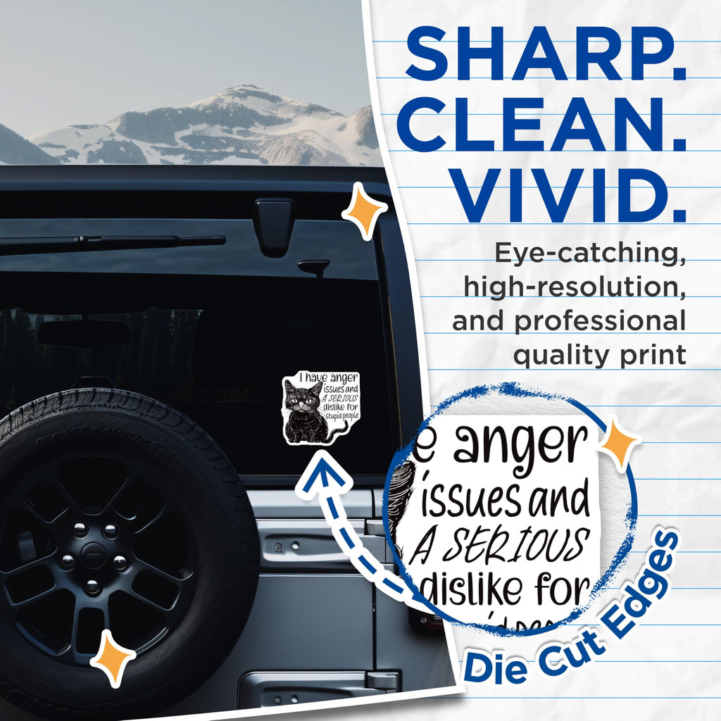 (2 Pack) Funny Cat Stickers - Anger Issues Cat Stickers - Sarcastic Quote Stickers - 5" On Longest Side - Sticks to Smooth Flat Surfaces - Made in USA - BMCS4335