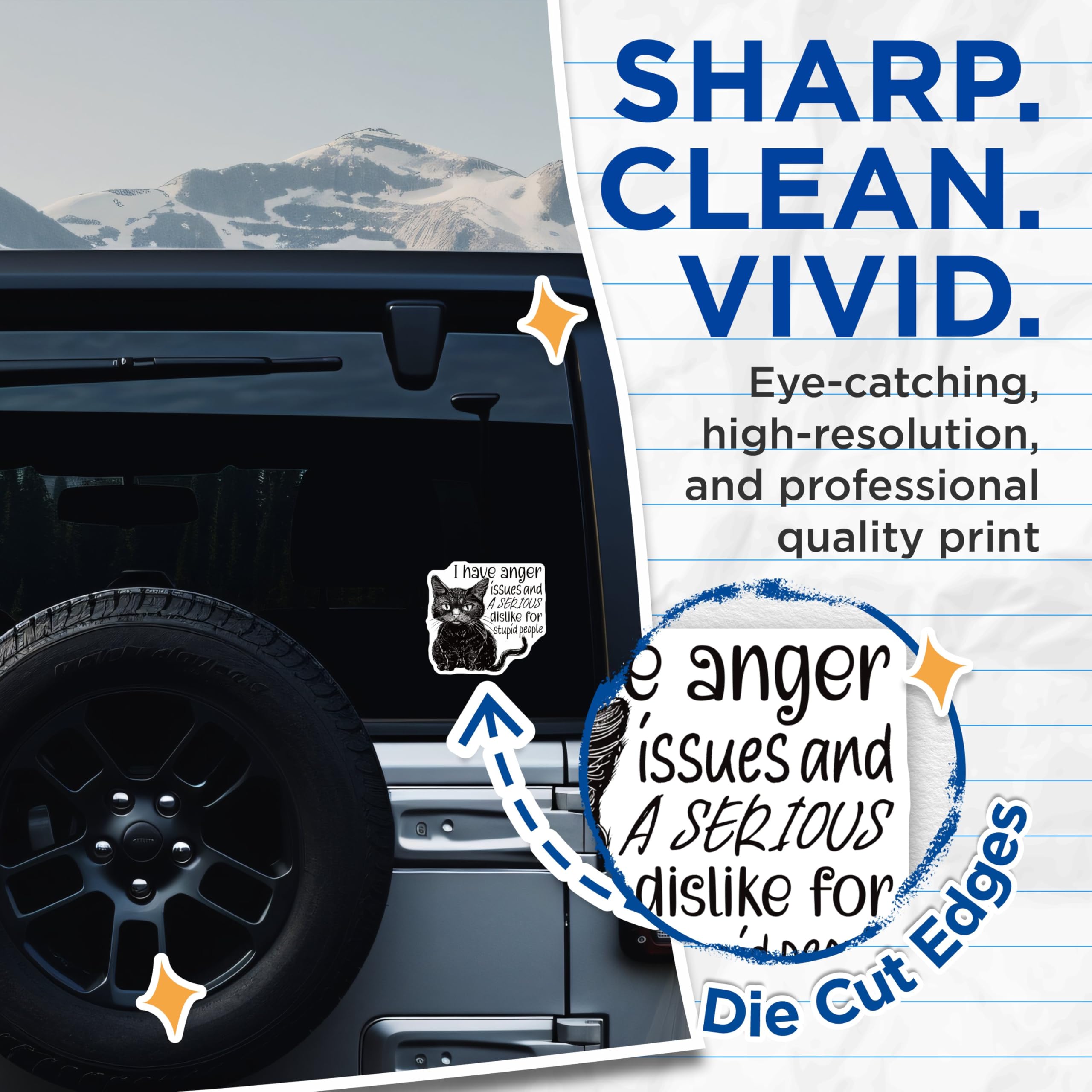 (2 Pack) Funny Cat Stickers - Anger Issues Cat Stickers - Sarcastic Quote Stickers - 5" On Longest Side - Sticks to Smooth Flat Surfaces - Made in USA - BMCS4335