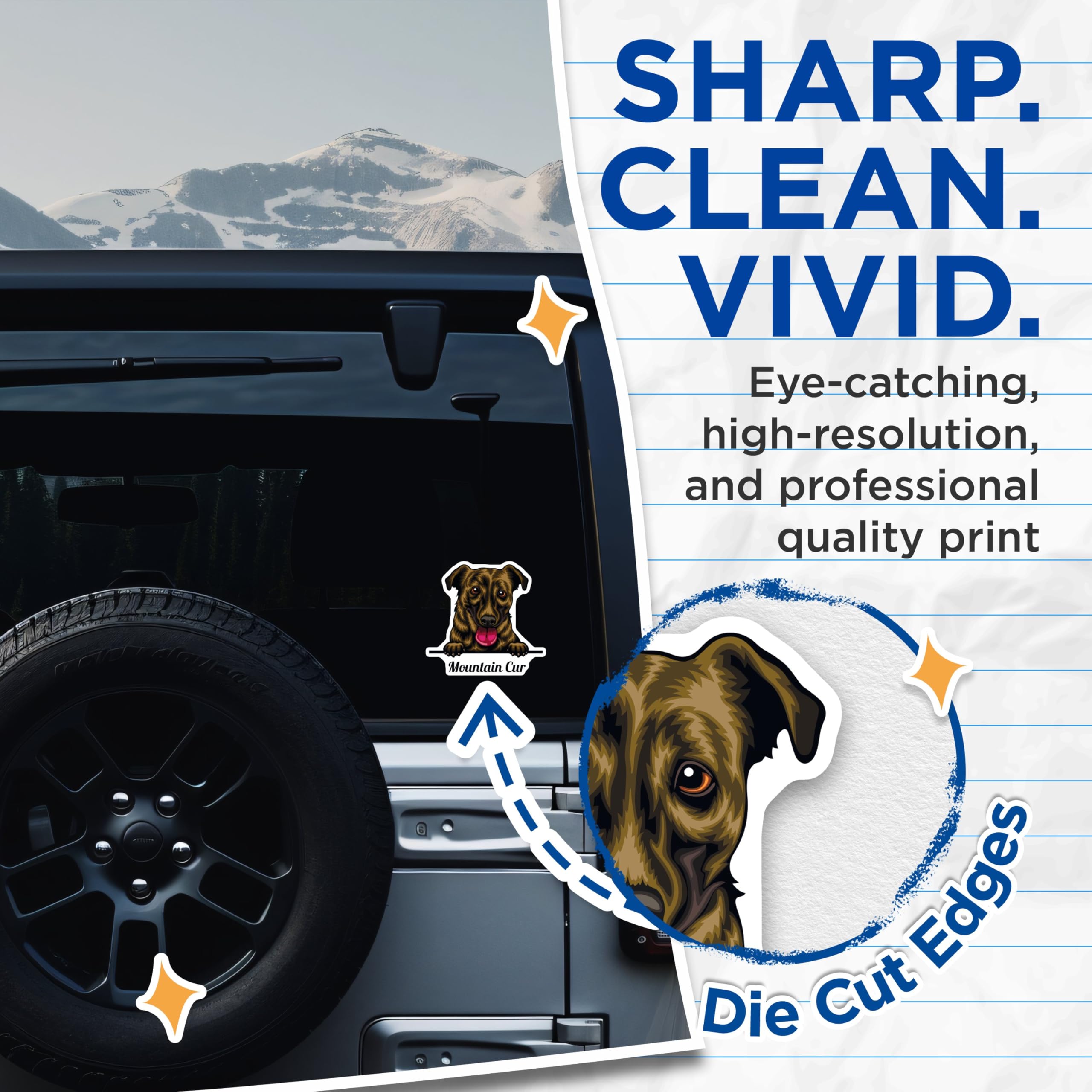 (2 Pack) Mountain Cur Dog Stickers - Cute Pet Dog Decal - Animal Lover Stickers - 5" On Longest Side - Sticks to Smooth Flat Surfaces - Made in USA - BMCS4220