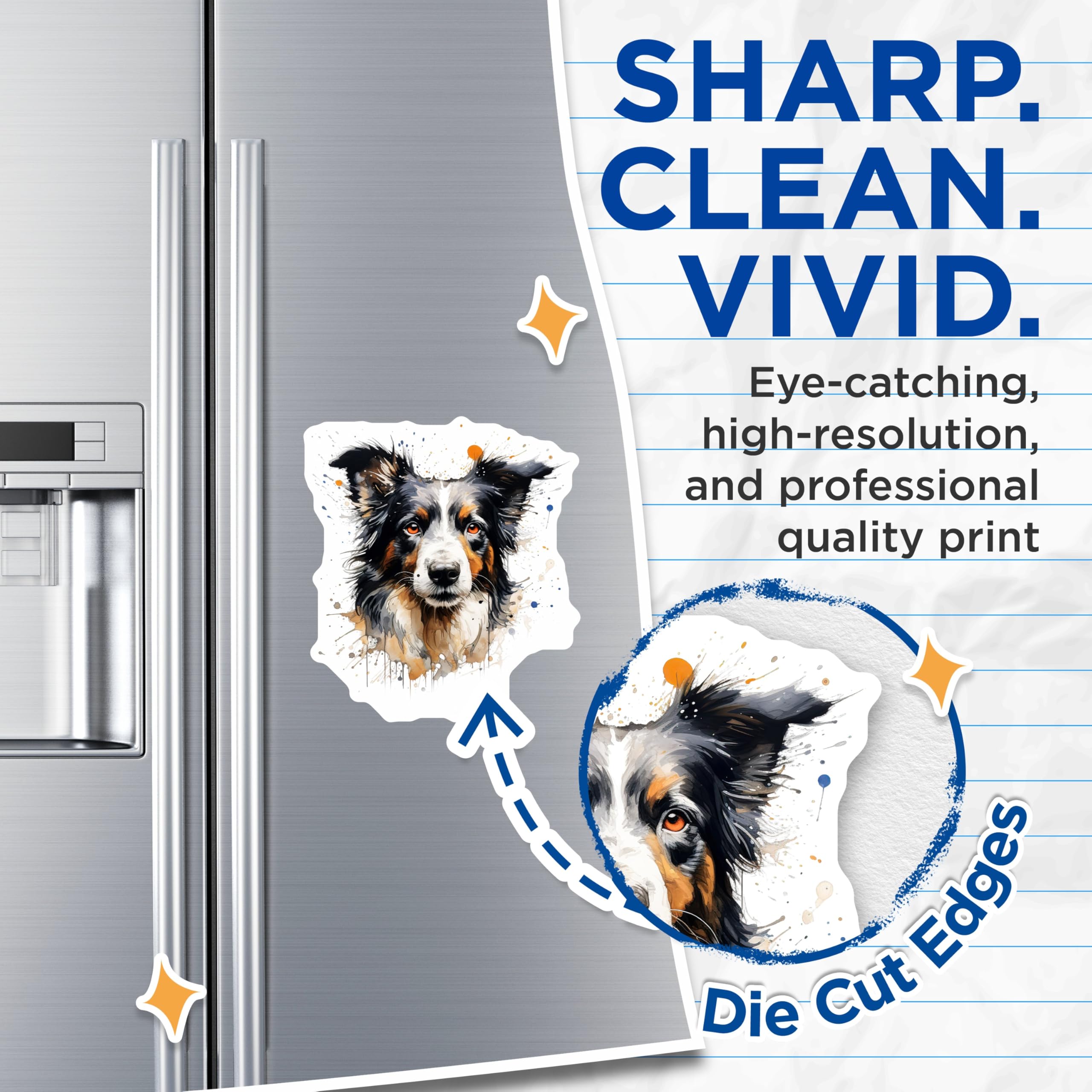 (2 Pack) Border Collie Magnets - Artistic Dog Decor - Pet Owner Kitchen Accent - 5 Inches On Longest Side - Thick Durable Magnet - Made in USA - MAG26470