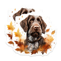 (2 Pack) Wirehaired Pointing Griffon Magnets - Autumn Dog Art - Fall Kitchen Refrigerator Accents - 5 Inches On Longest Side - Thick Durable Magnet - Made in USA - MAG30733