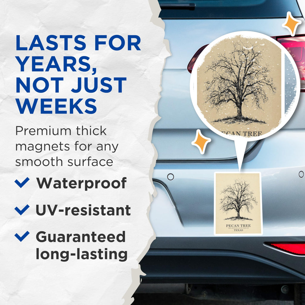 (2 Pack) Pecan Tree Magnets - Texas State Tree Decor - Nature Inspired Refrigerator Magnets - 5" On Longest Side - Premium Magnet - for Cars, Refrigerators, Toolboxes, Lockers - Made in USA - MAG17393
