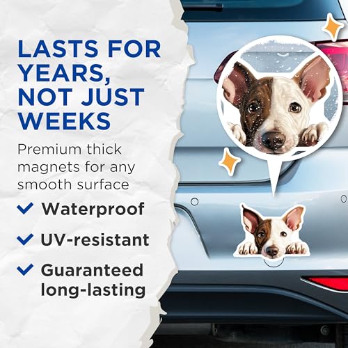(2 Pack) Dog Lover Accessories Magnet - Animal Home Decor - 5" On Longest Side - Sticks to Smooth Flat Surfaces - Made in USA - MAG10227