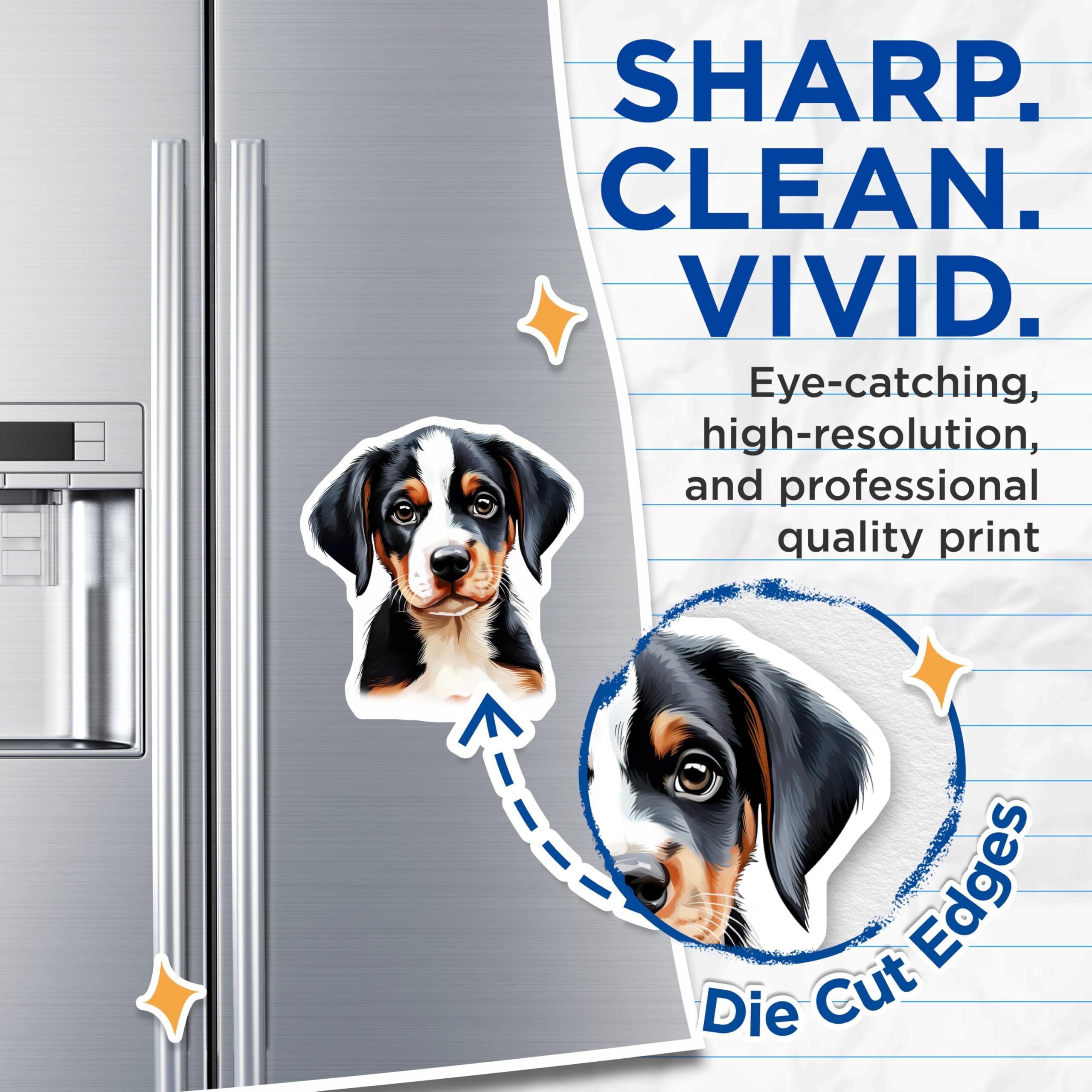 (2 Pack) Bernese Mountain Dog Puppy Magnets - Cute Pet Lover Decor - Adorable Dog Mom Kitchen Accessory - 5 Inches On Longest Side - Thick Durable Magnet - Made in USA - MAG25345