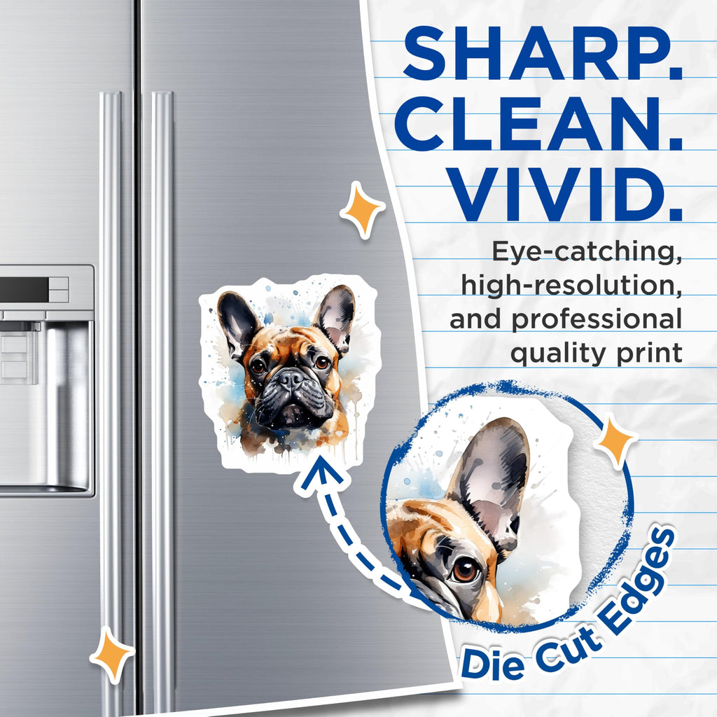 (2 Pack) French Bulldog Magnets - Watercolor Frenchie Art - Cute Puppy Fridge Decor - Animal Lover Collectible - 5 Inches On Longest Side - Thick Durable Magnet - Made in USA - MAG24707