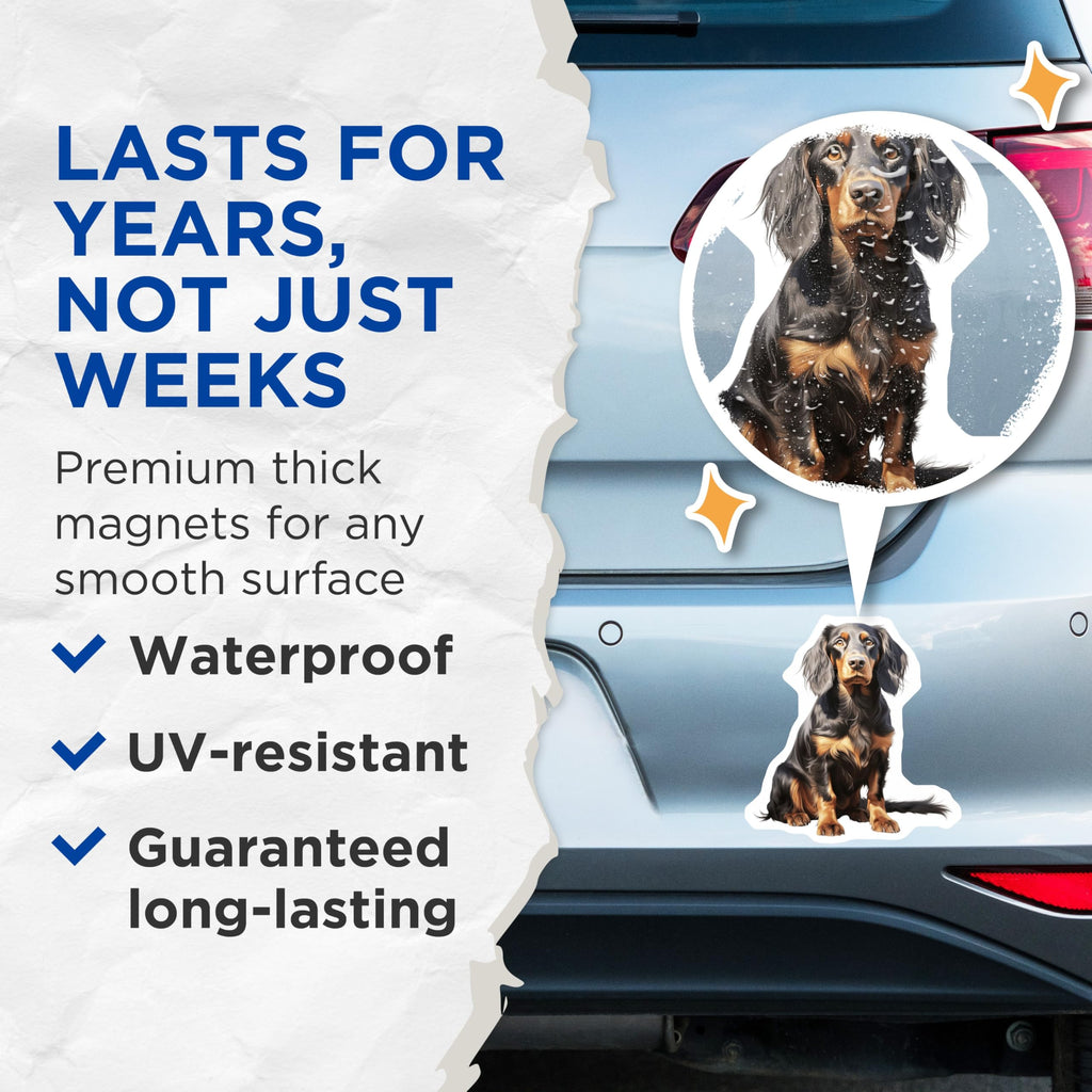 (2 Pack) Black Tan Dog Magnets - Long Haired Coonhound Gordon Setter - Pet Owner Refrigerator Decor - 5 Inches On Longest Side - Thick Durable Magnet - Made in USA - MAG26981