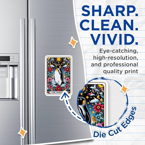 (2 Pack) The Penguin Ative Magnets - Colorful Floral Bird Art - Unique Home and Office - 5" On Longest Side - for Cars, Fridges, Toolboxes - Made in USA - MAG4481