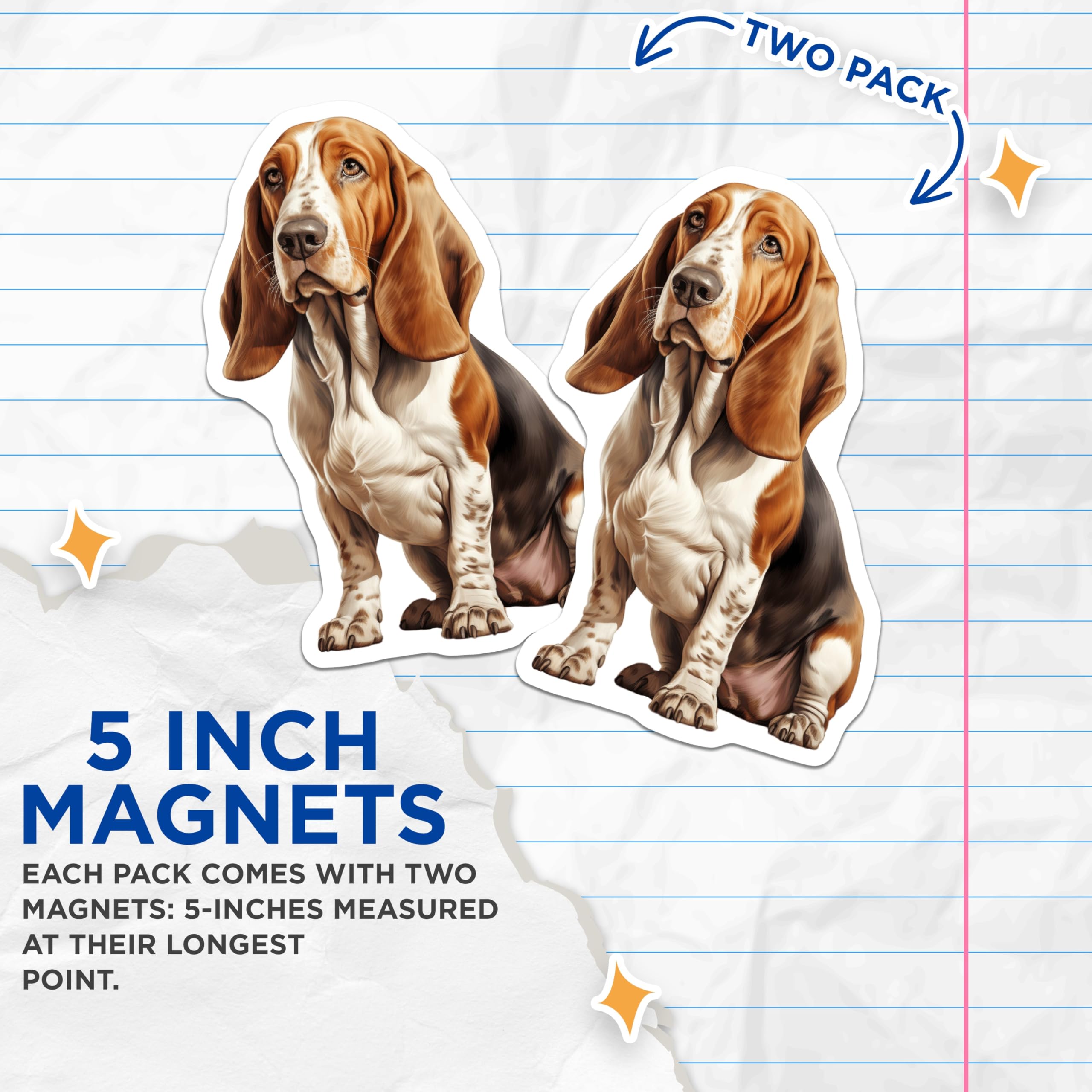 (2 Pack) Basset Hound Magnets - Dog Breed Lover Decor - Pet Owner Kitchen Accessories - Basset Hound Mom Dad - 5 Inches On Longest Side - Thick Durable Magnet - Made in USA - MAG29849