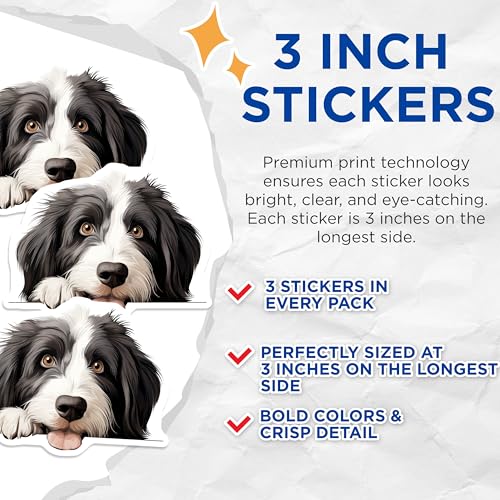 (3 Pack) Border Collie Decals - Dog Lover - Laptop Decals - 3 Inches On Longest Side - Easy Peel & Apply - Made in USA - 3MCS8619