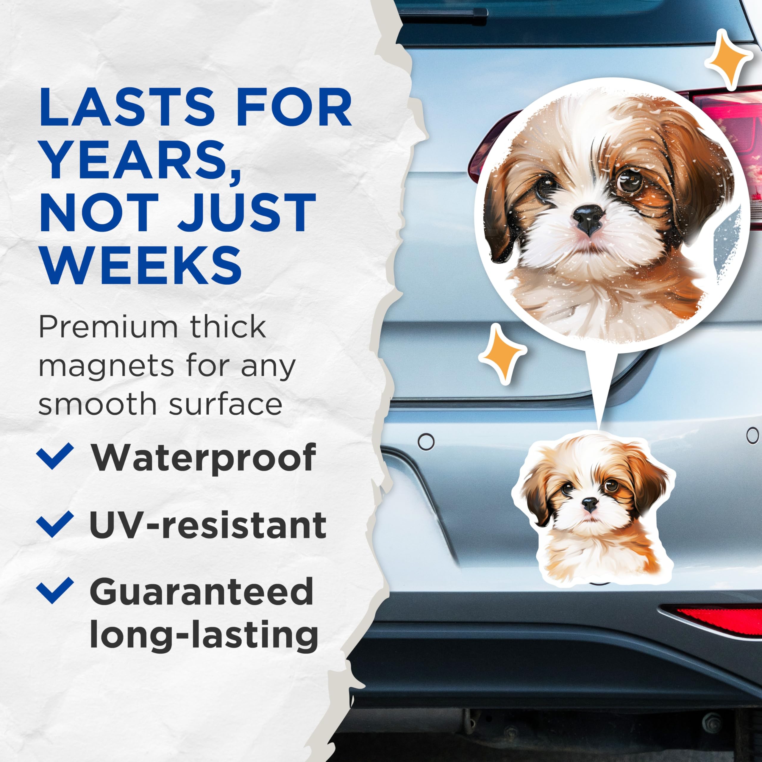 (2 Pack) Cute Puppy Magnets - Adorable Shih Tzu Dog - Refrigerator Locker Decor - 5 Inches On Longest Side - Thick Durable Magnet - Made in USA - MAG28946