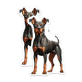 (2 Pack) Doberman Pinscher Magnets - Dog Lover Decor - Pet Owner Fridge Art - 5 Inches On Longest Side - Thick Durable Magnet - Made in USA - MAG29026