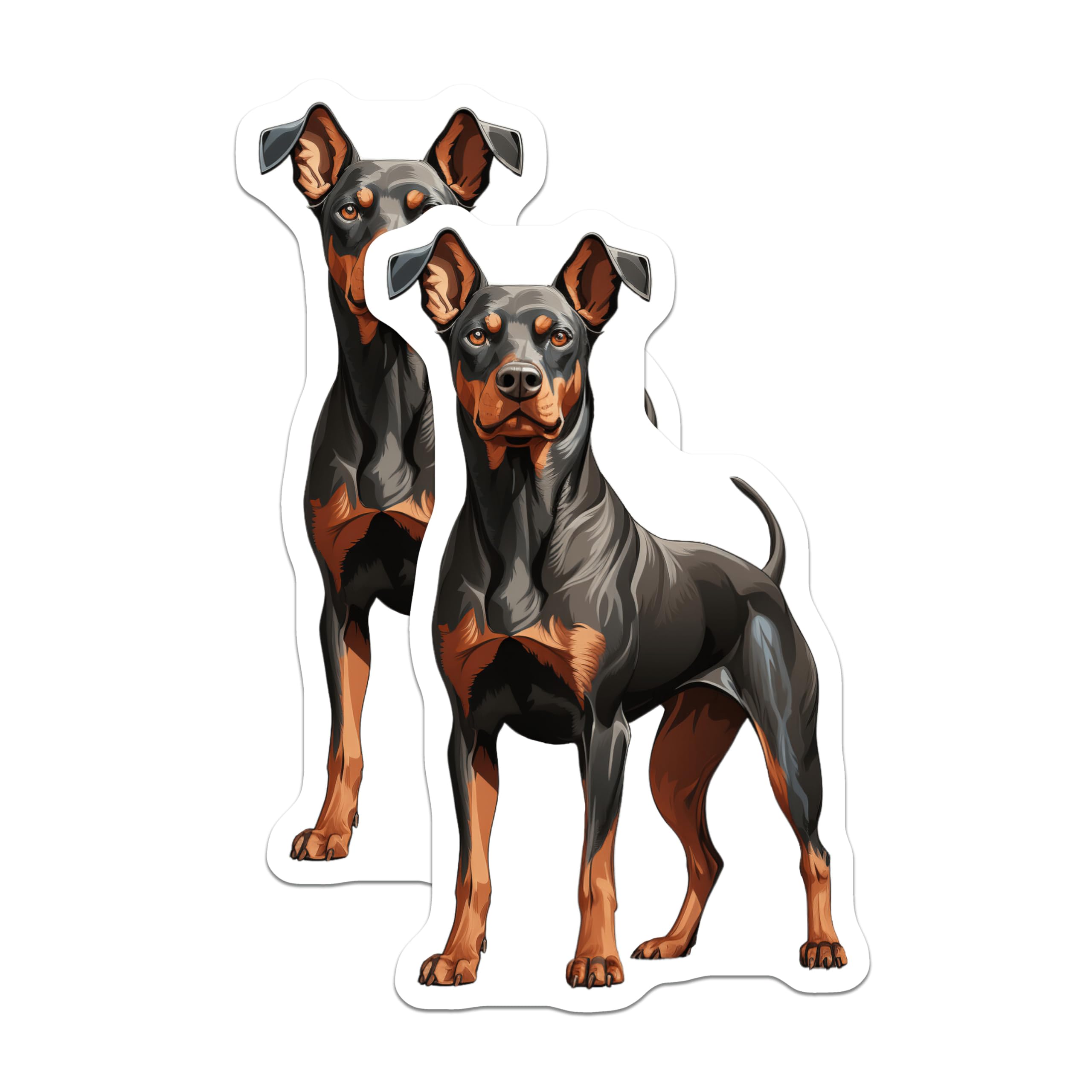 (2 Pack) Doberman Pinscher Magnets - Dog Lover Decor - Pet Owner Fridge Art - 5 Inches On Longest Side - Thick Durable Magnet - Made in USA - MAG29026